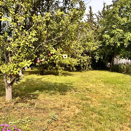 Apartment Csobogo Keszthely