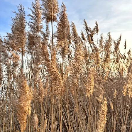 Csobogo شقة كيستاي