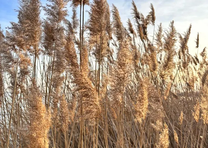 Csobogo 아파트 케츨리